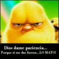 /album/fotogaleria/a529376-266093560190616-1132652454-n-jpg1/